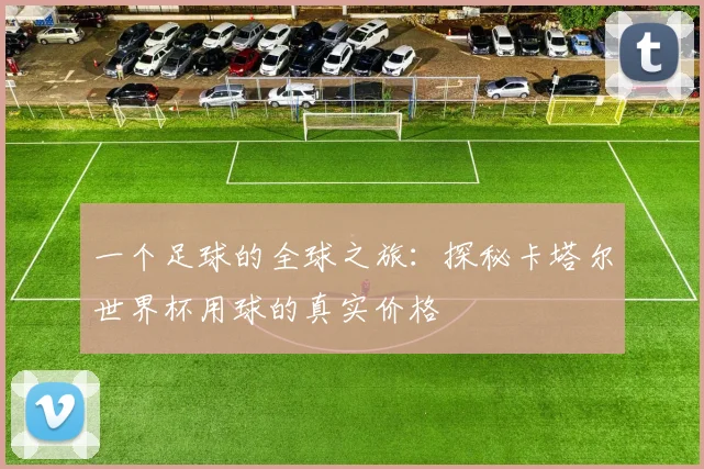 一个足球的全球之旅:探秘卡塔尔世界杯用球的真实价格