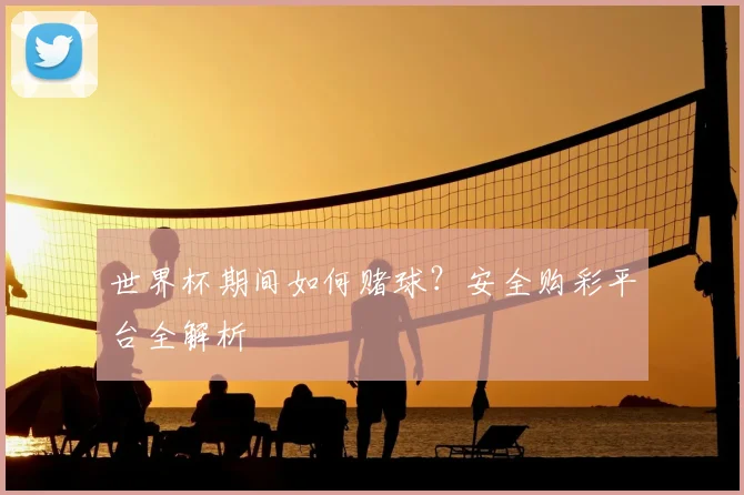 世界杯期间如何赌球？安全购彩平台全解析