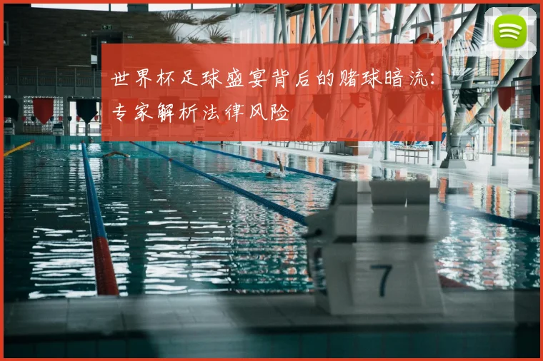 世界杯足球盛宴背后的赌球暗流：专家解析法律风险